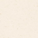 AS642 Aspen Seashell